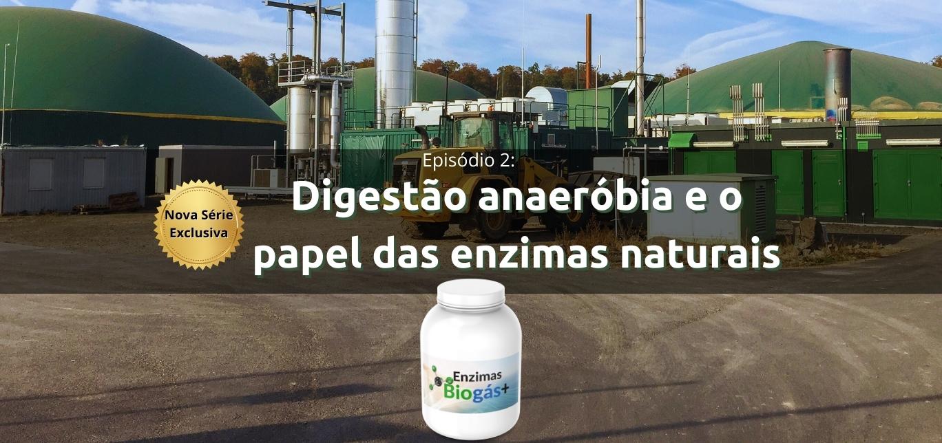 Digestão anaeróbia e o papel das enzimas naturais - Episódio 2
