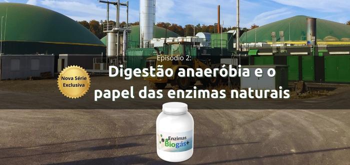 Digestão anaeróbia e o papel das enzimas naturais - Episódio 2