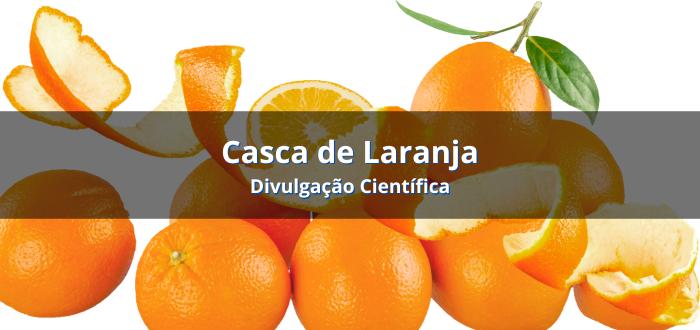 Biogás de Casca de Laranja