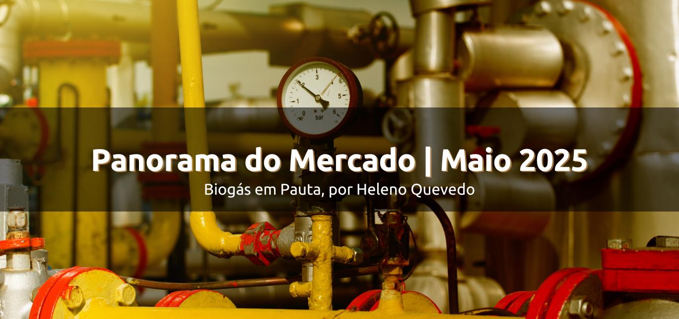 Mercado de Biometano no Brasil - Maio de 2025