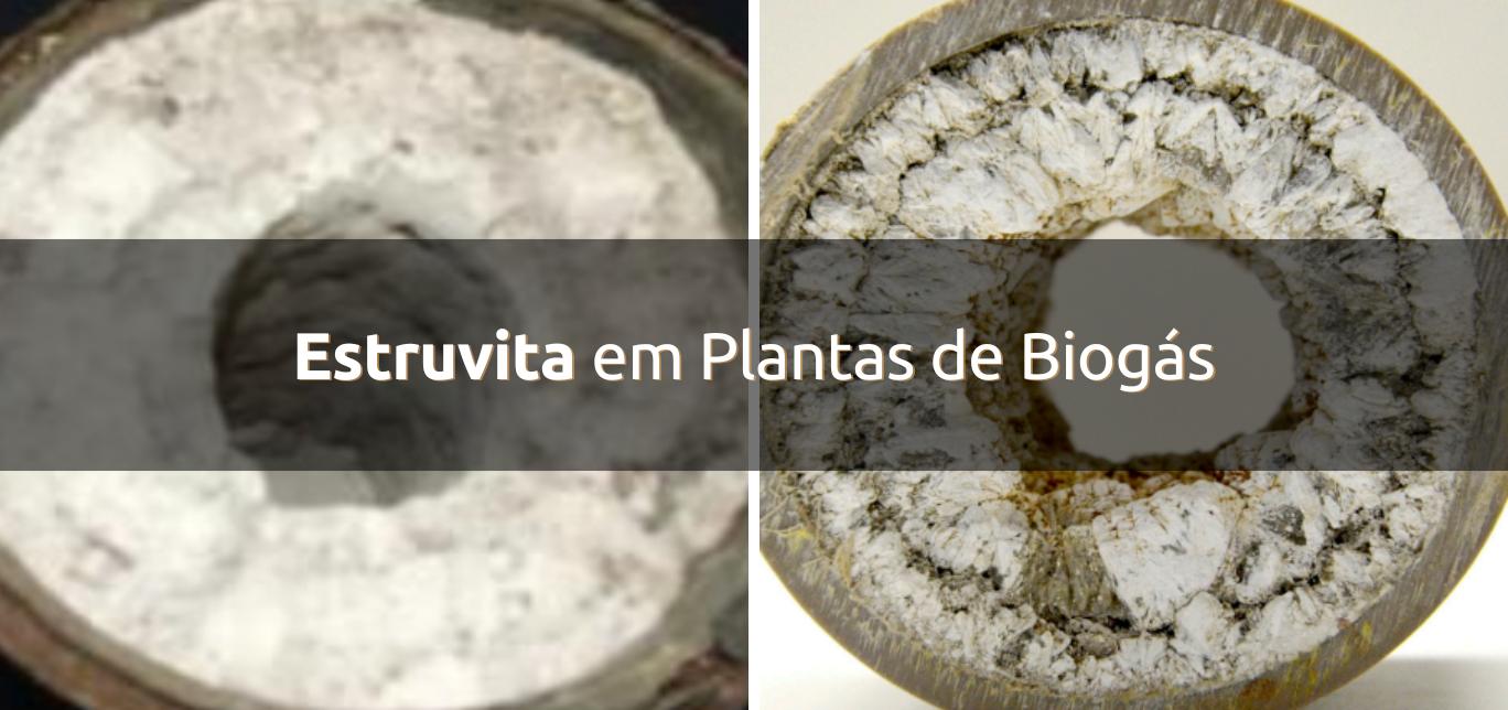 Estruvita em Plantas de Biogás