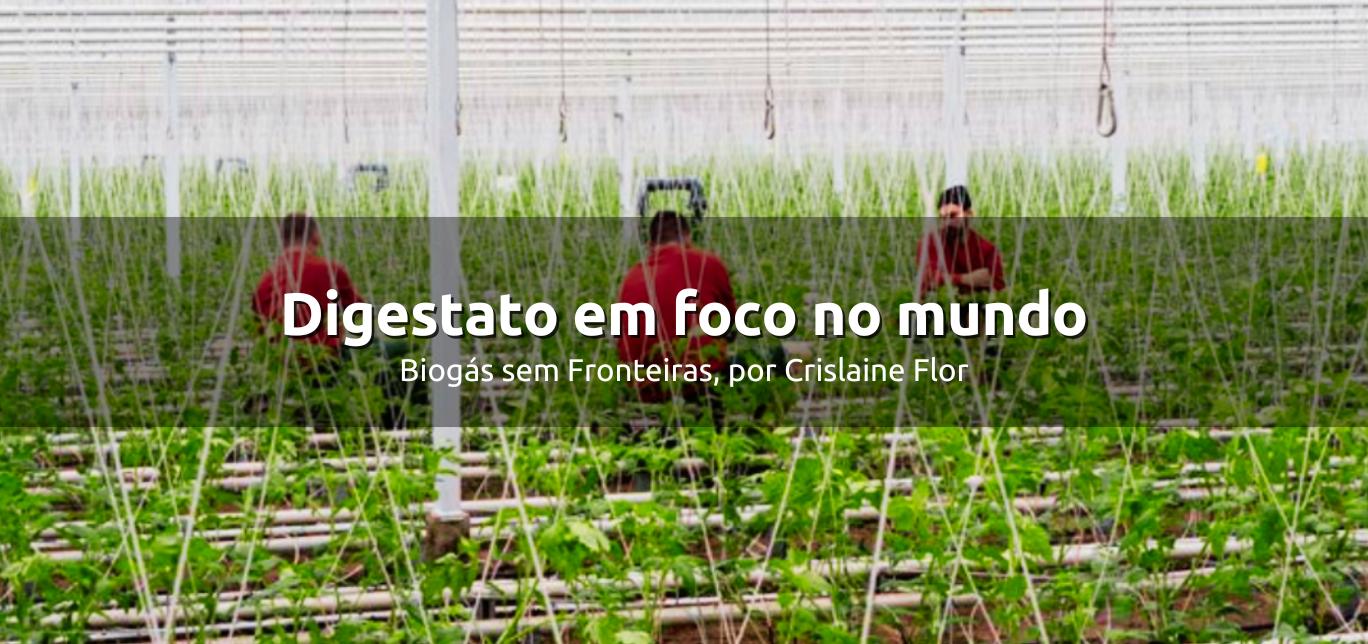 Digestato em foco no mundo