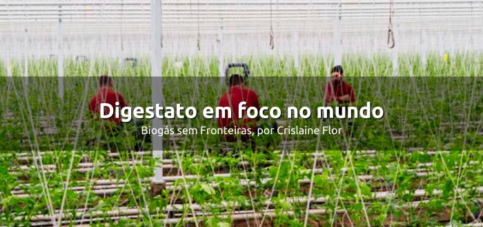 Digestato em foco no mundo
