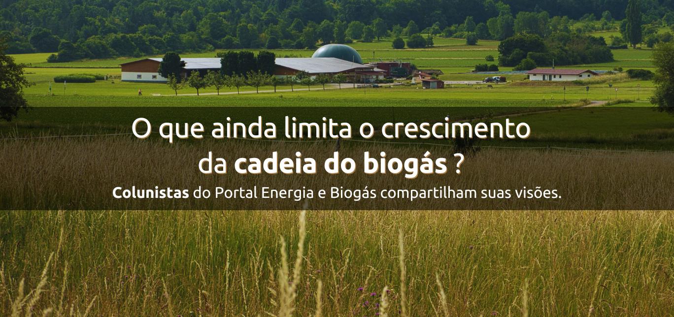 O que ainda limita o crescimento da cadeia do biogás?