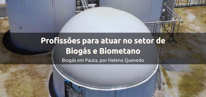 Conheça as 19 carreiras mais requisitadas