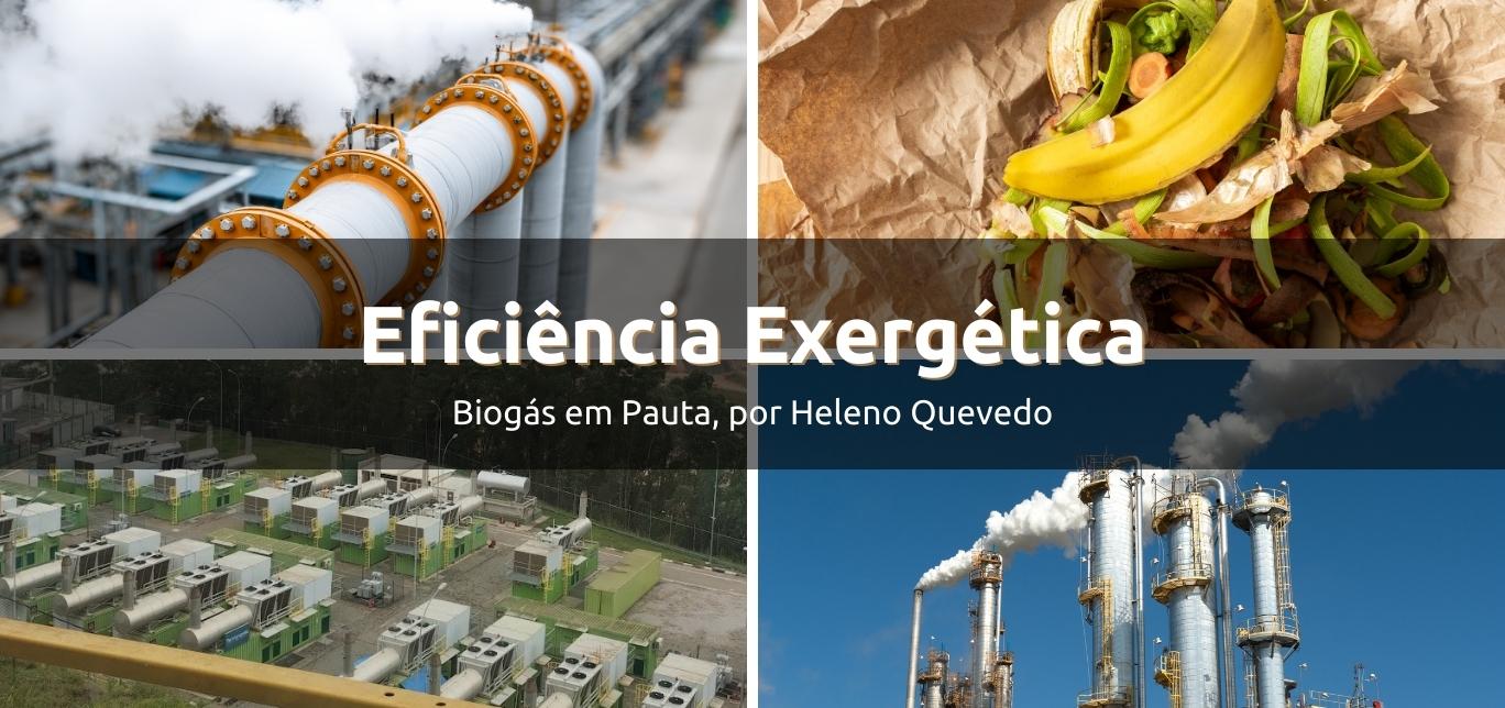 A eficiência exergética do biogás