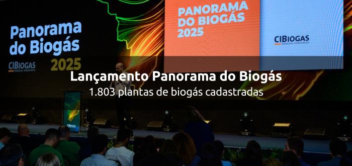 Panorama do Biogás de 2025