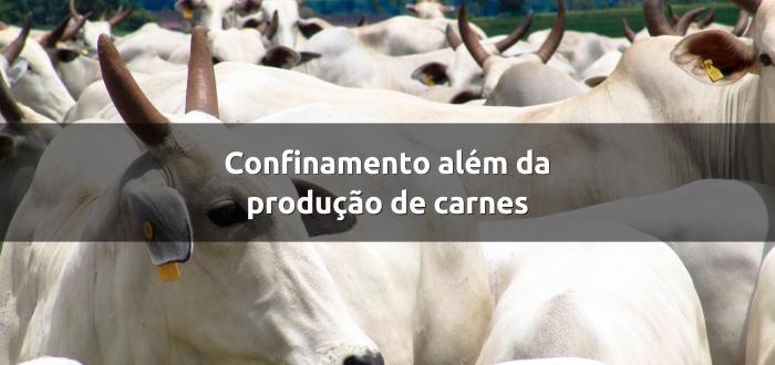 Confinamento bovino além da produção de carne