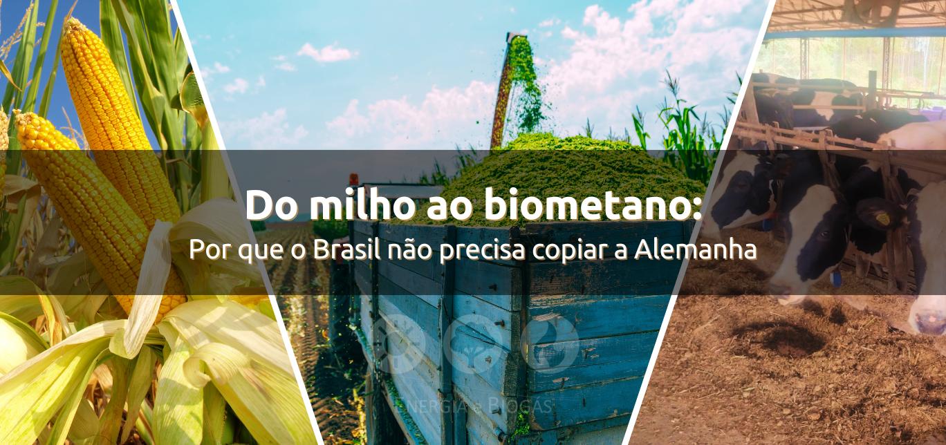 Do milho ao biometano: por que o Brasil não precisa apenas copiar a Alemanha