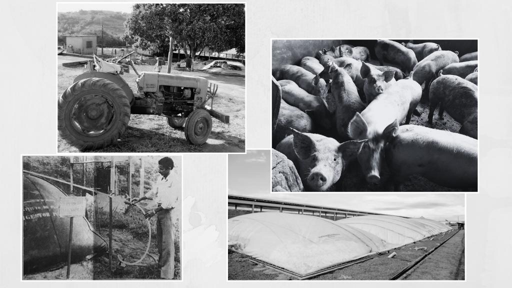 Memórias do Biogás